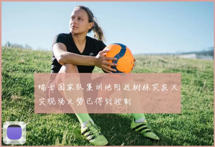 瑞士国家队集训地附近树林突发火灾现场火势已得到控制